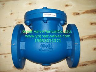 BS check valve flanged ends