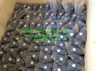ANSI y strainer threaded ends