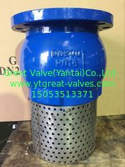 ANSI foot valve flanged ends