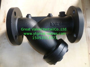 505C  ANSI Y STRAINER FLANGED ENDS