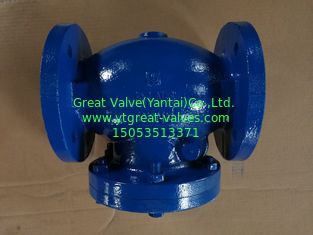 Bs table D check valve
