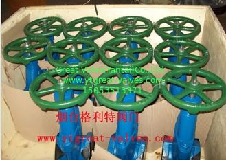 clip gate valve