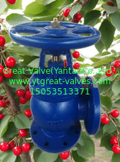 ANSI angle valve
