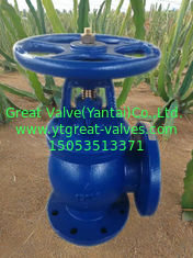 ANSI angle valve