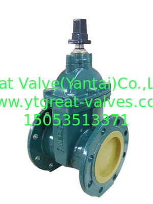(BS) Cast Iron Resilient Gate Valve nor-rising stem Flanged Ends