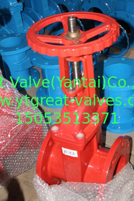 (ANSI) Cast Iron Gate Valve Flanged Ends