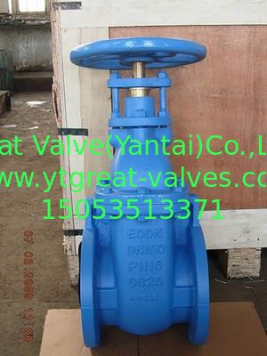 (BS) Cast Iron Gate Valve NRS