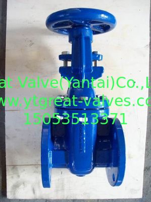 (bs) Cast Iron Metal Gate Valve O&Y flanged ends