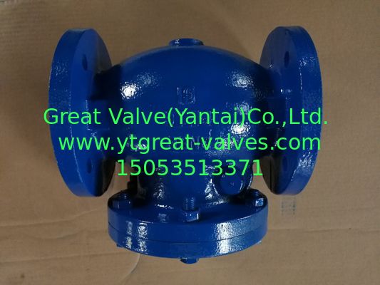 Bs table D check valve
