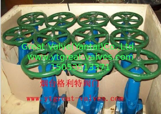 clip gate valve