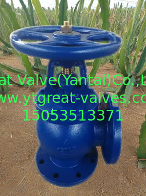 ANSI angle valve